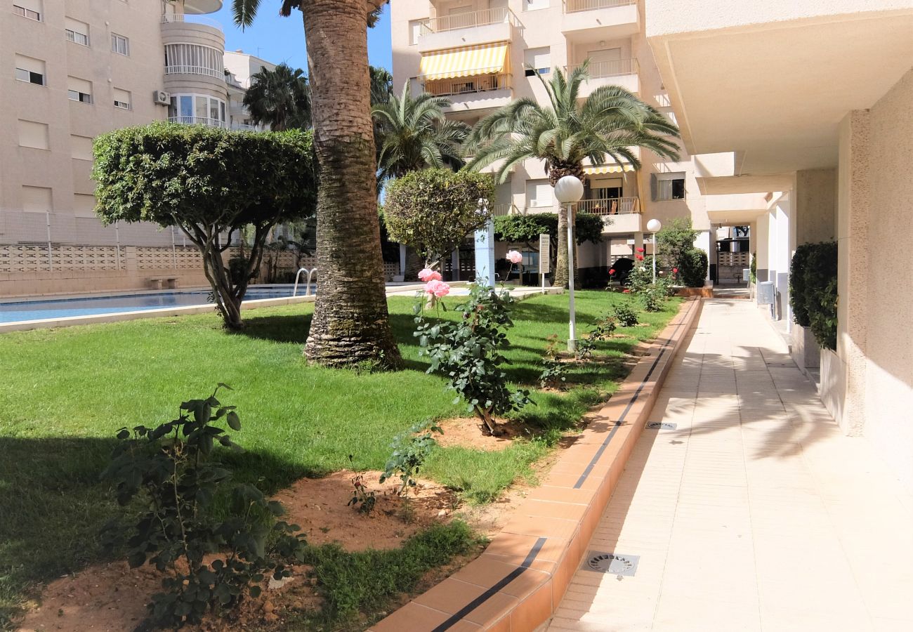 Apartamento en Gandia - GOLETA IV - 3ª - 3º Dcha   /   PLAYA DE GANDIA