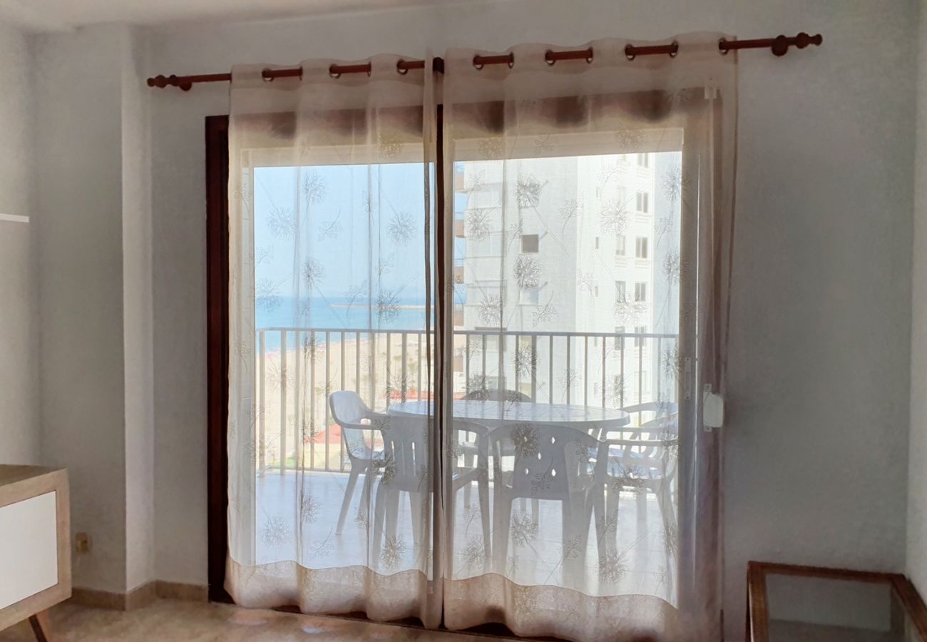Apartamento en Gandia - GUPPY 10º - A    /    PLAYA DE GANDIA