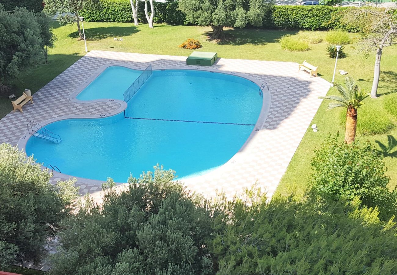 Apartamento en Gandia - GUPPY 10º - A    /    PLAYA DE GANDIA