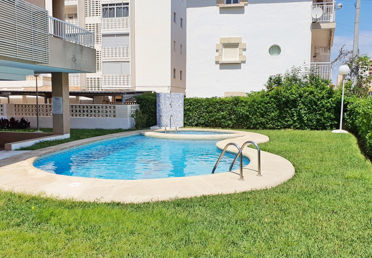 Apartamento en Gandia - PLAYAMAR VI - 1ª - 2º - 6ª    /   PLAYA DE GANDIA