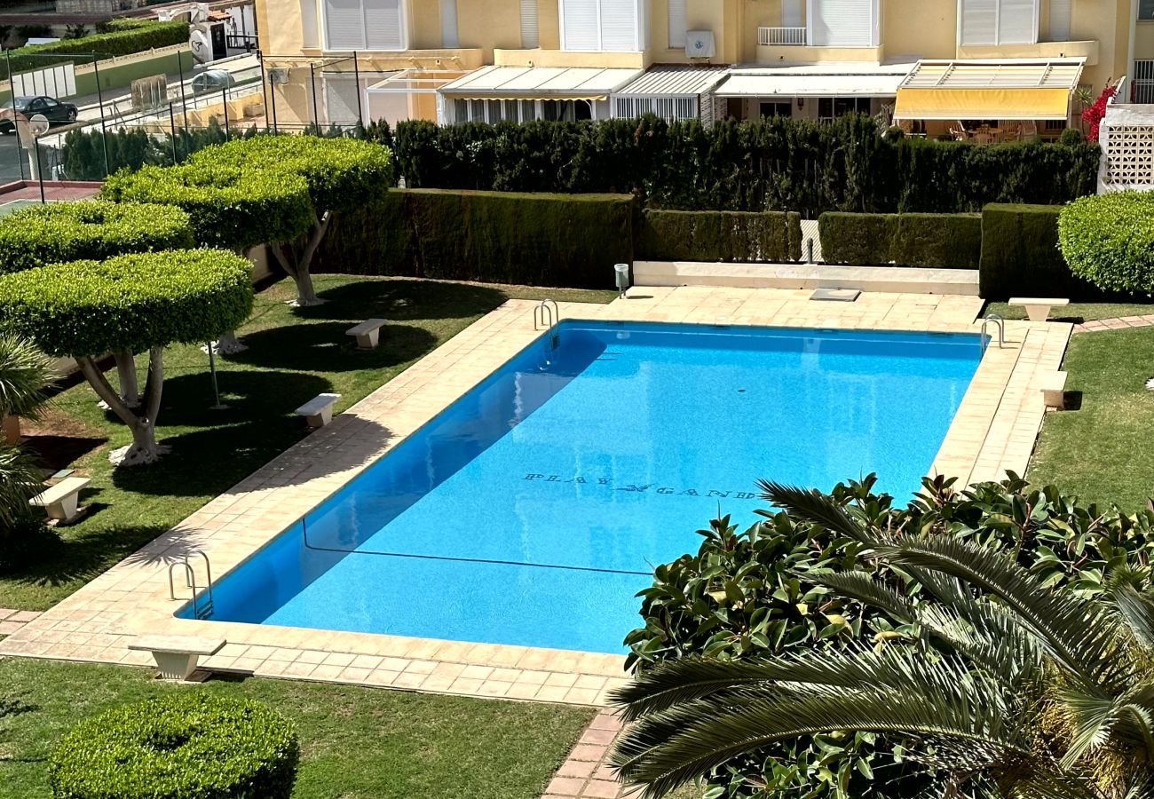 Apartamento en Gandia - PLAY GANDI 1ª - 4º - 8ª   /   PLAYA DE GANDIA