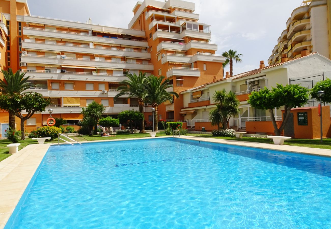 Apartamento en Gandia - PLAY GANDI 1ª - 4º - 8ª   /   PLAYA DE GANDIA