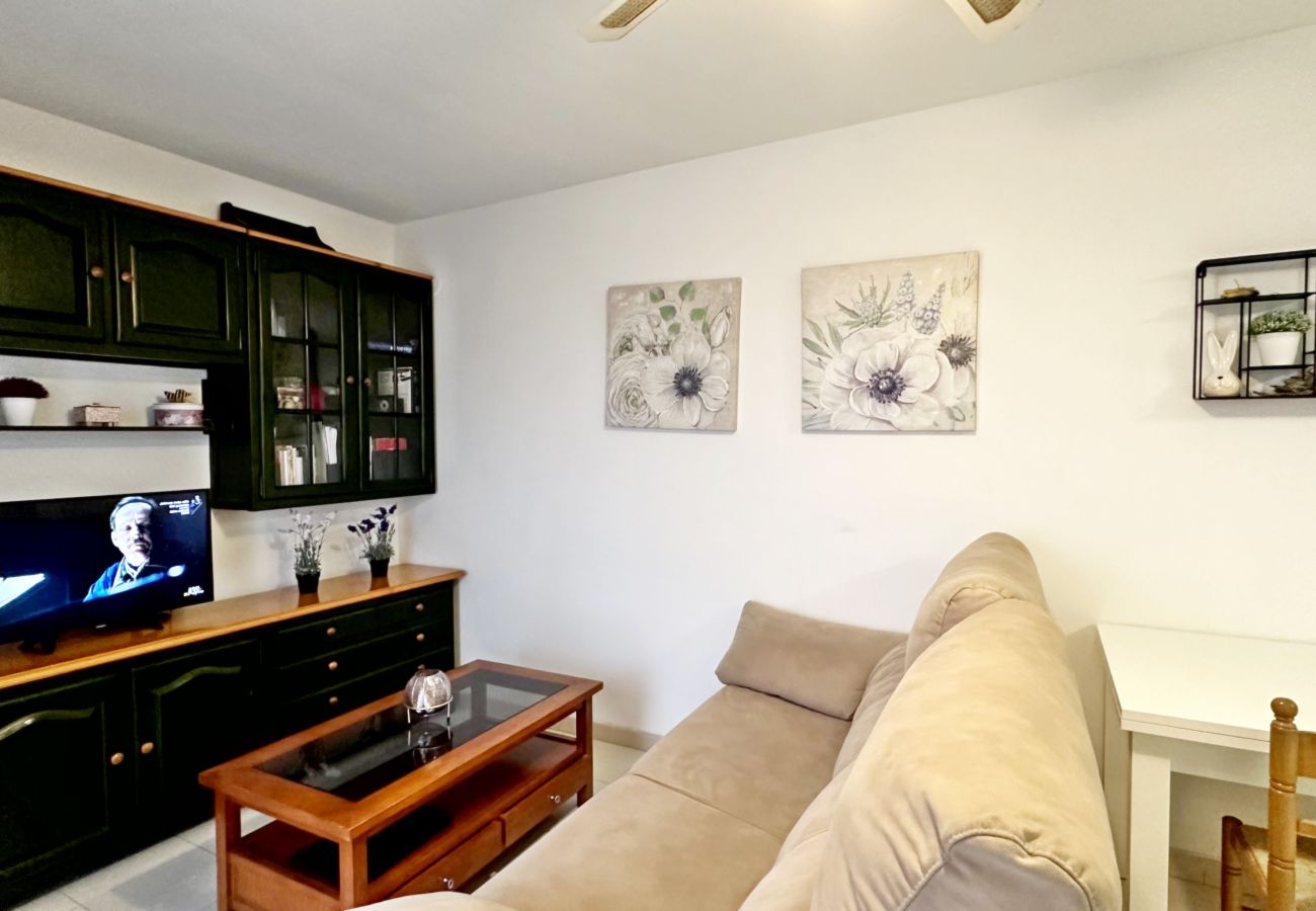 Apartamento en Gandia - PLAY GANDI 1ª - 7 - 6ª   /    PLAYA DE GANDIA