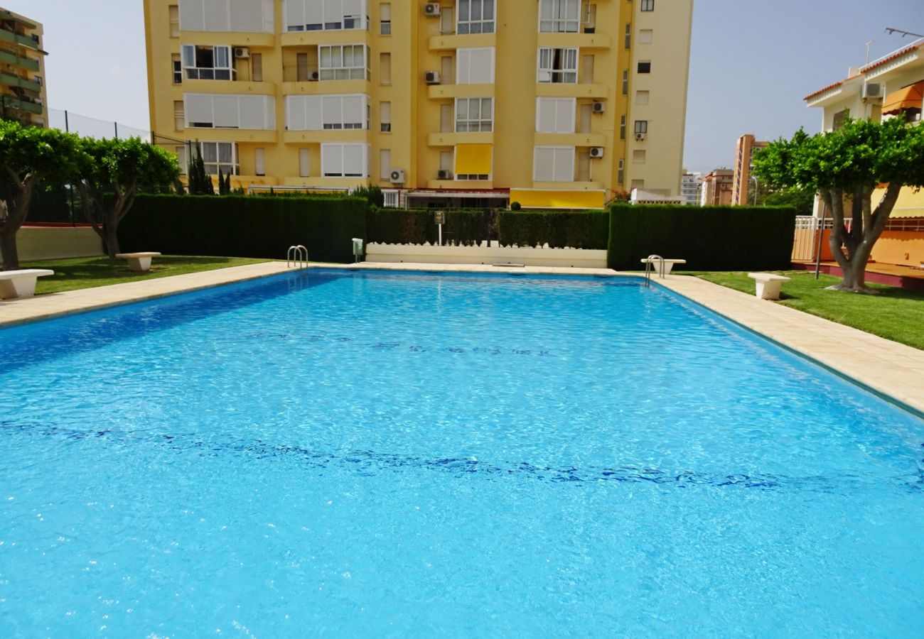 Apartamento en Gandia - PLAY GANDI 1ª - 7 - 6ª   /    PLAYA DE GANDIA