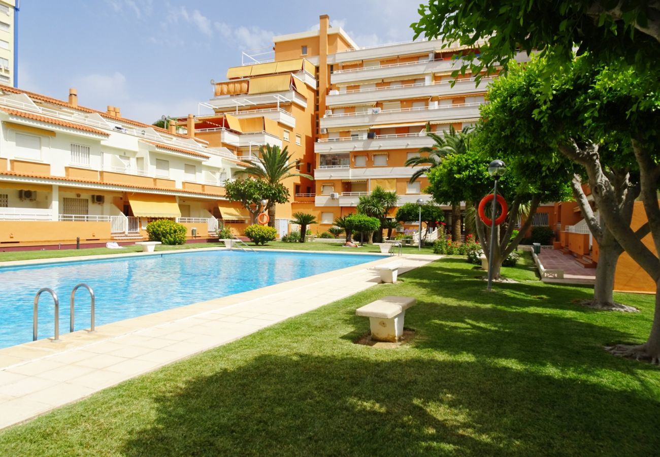 Apartamento en Gandia - PLAY GANDI 1ª - 7 - 6ª   /    PLAYA DE GANDIA