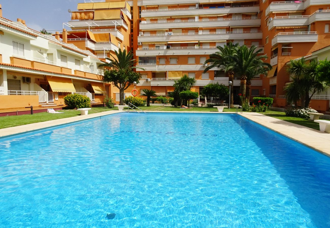 Apartamento en Gandia - PLAY GANDI 1ª - 7 - 6ª   /    PLAYA DE GANDIA