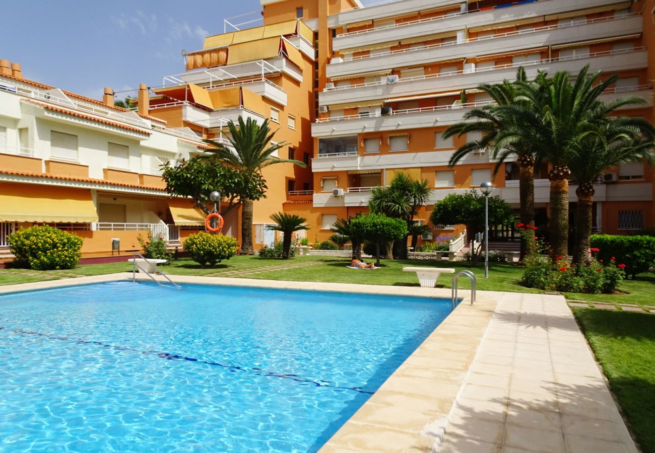 Apartamento en Gandia - PLAY GANDI 1ª - 7 - 6ª   /    PLAYA DE GANDIA