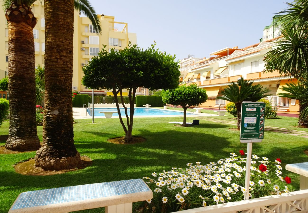 Apartamento en Gandia - PLAY GANDI 1ª - 7 - 6ª   /    PLAYA DE GANDIA
