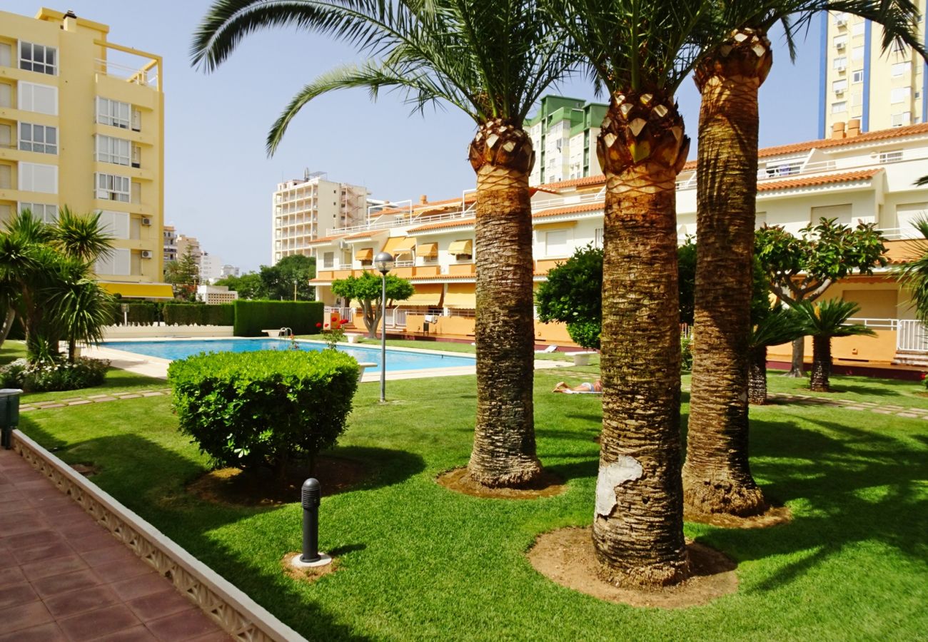 Apartamento en Gandia - PLAY GANDI 1ª - 7 - 6ª   /    PLAYA DE GANDIA