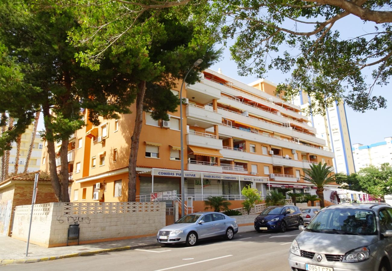 Apartamento en Gandia - PLAY GANDI 1ª - 7 - 6ª   /    PLAYA DE GANDIA