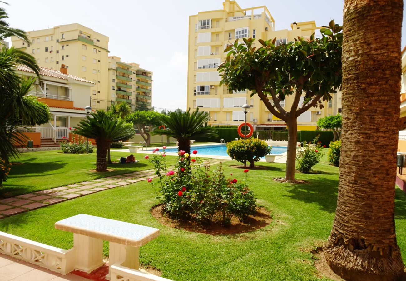 Apartamento en Gandia - PLAY GANDI 1ª - 7 - 6ª   /    PLAYA DE GANDIA