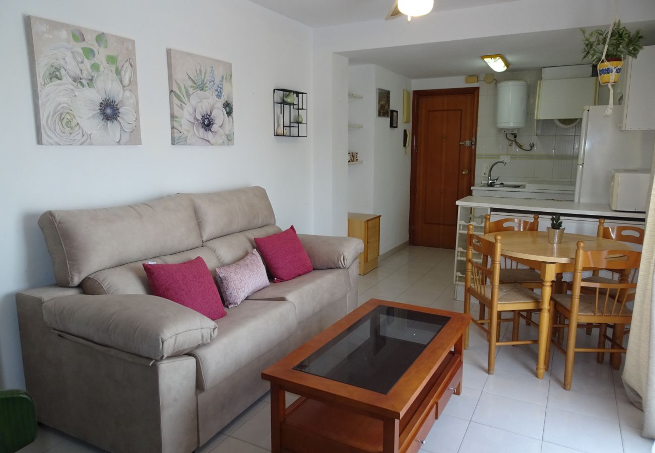 Apartamento en Gandia - PLAY GANDI 1ª - 7 - 6ª   /    PLAYA DE GANDIA