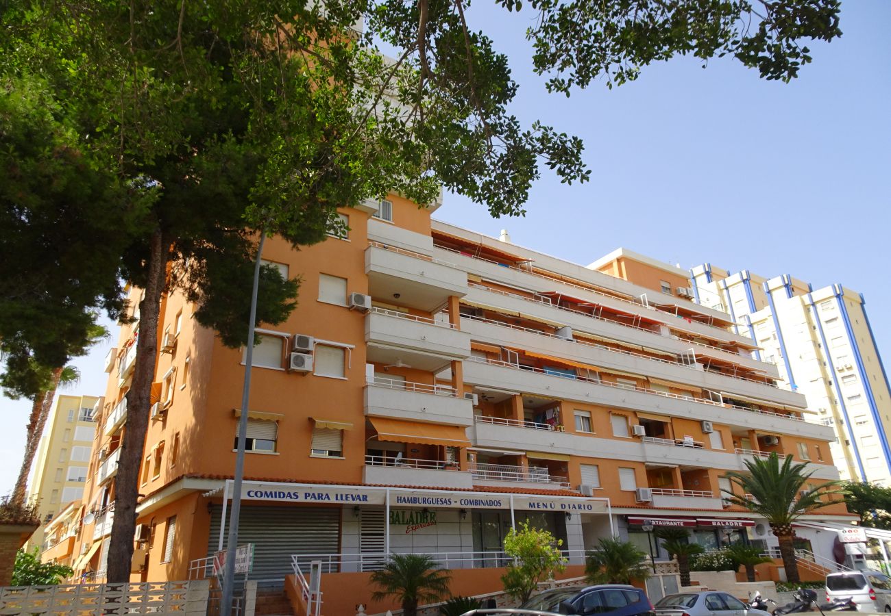 Apartamento en Gandia - PLAY GANDI 1ª - 7 - 6ª   /    PLAYA DE GANDIA