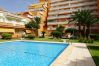 Apartamento en Gandia - PLAY GANDI 1ª - 7 - 6ª   /    PLAYA DE GANDIA