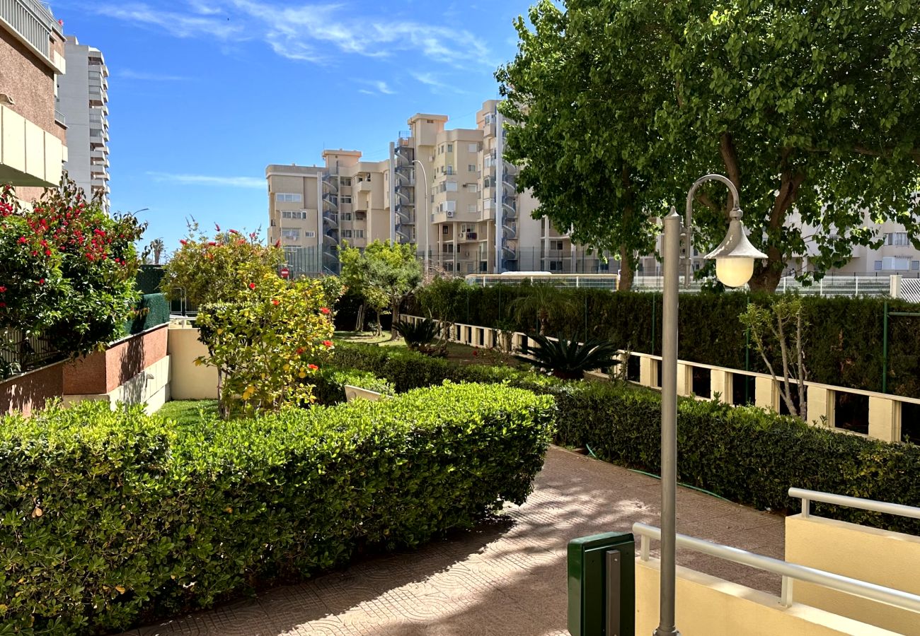 Apartamento en Gandia - RENAIXENÇA 3ª - 6º - 14ª   /    PLAYA DE GANDIA