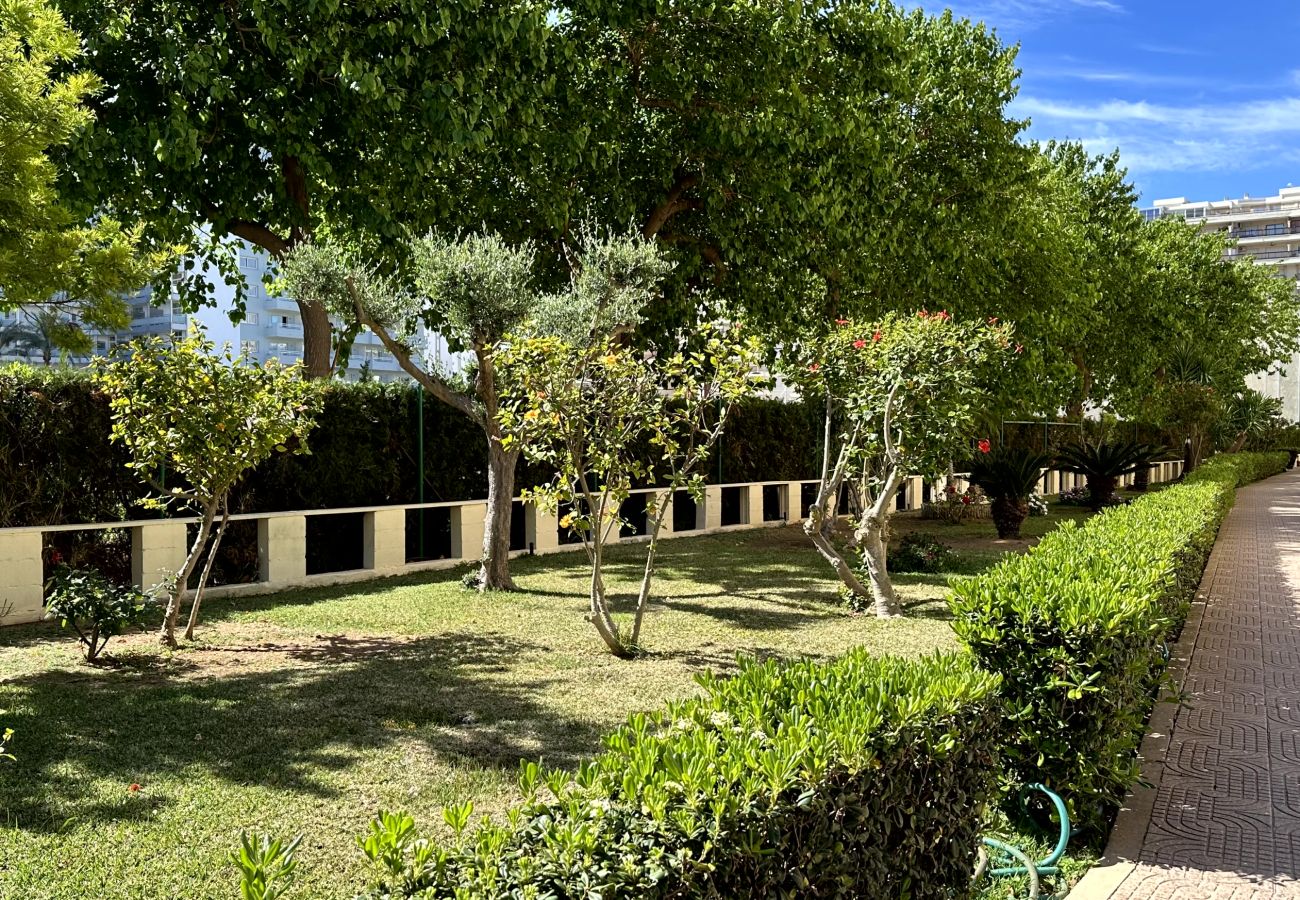 Apartamento en Gandia - RENAIXENÇA 3ª - 6º - 14ª   /    PLAYA DE GANDIA