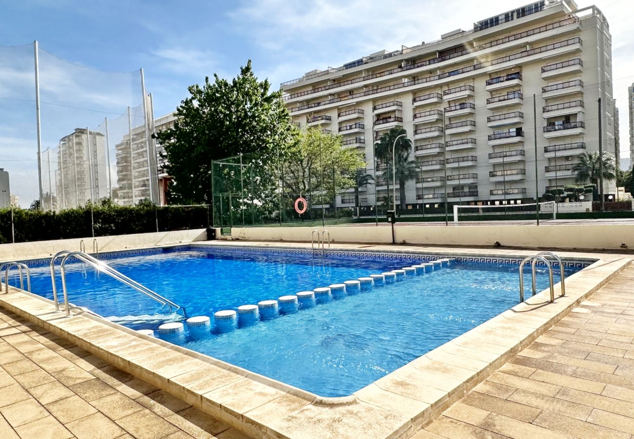 Apartamento en Gandia - RENAIXENÇA 3ª - 6º - 14ª   /    PLAYA DE GANDIA