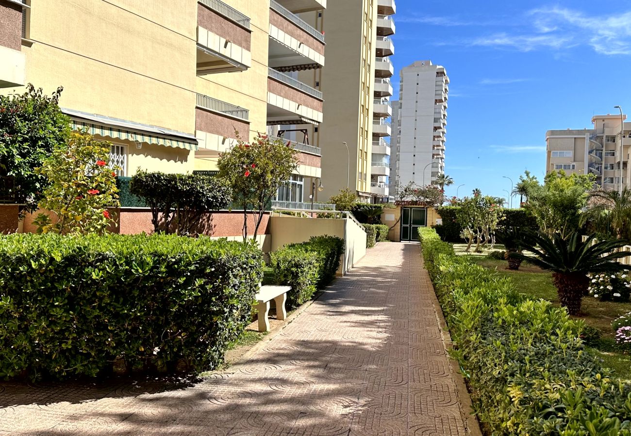 Apartamento en Gandia - RENAIXENÇA 3ª - 6º - 14ª   /    PLAYA DE GANDIA