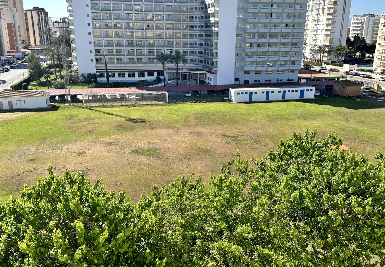 Apartamento en Gandia - RENAIXENÇA 3ª - 6º - 14ª   /    PLAYA DE GANDIA