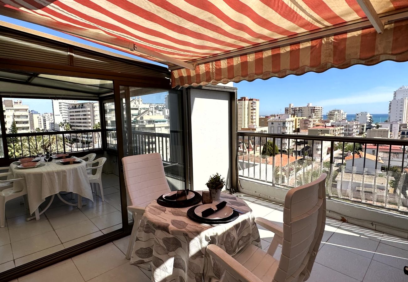 Apartamento en Gandia - REYNA 7º - 33   /     PLAYA DE GANDIA