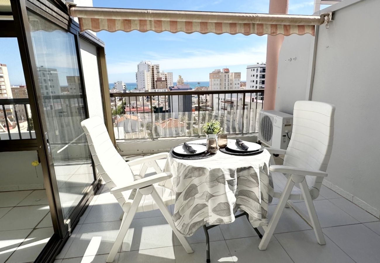 Apartamento en Gandia - REYNA 7º - 33   /     PLAYA DE GANDIA