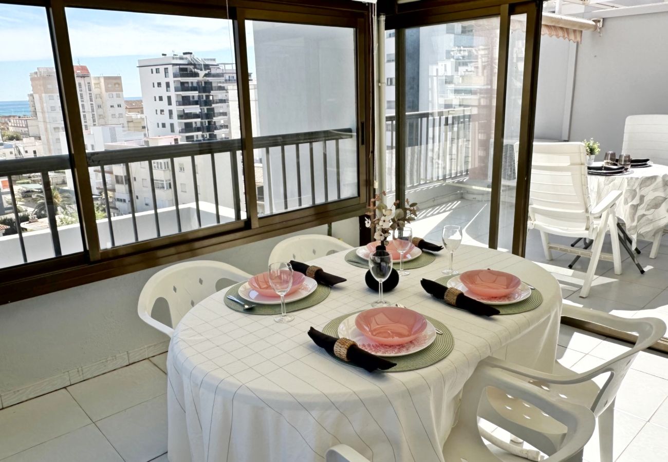 Apartamento en Gandia - REYNA 7º - 33   /     PLAYA DE GANDIA