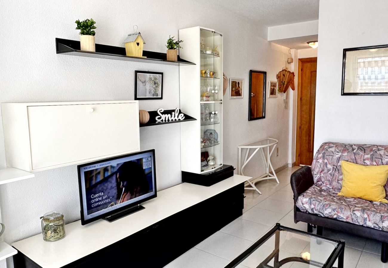 Apartamento en Gandia - REYNA 7º - 33   /     PLAYA DE GANDIA