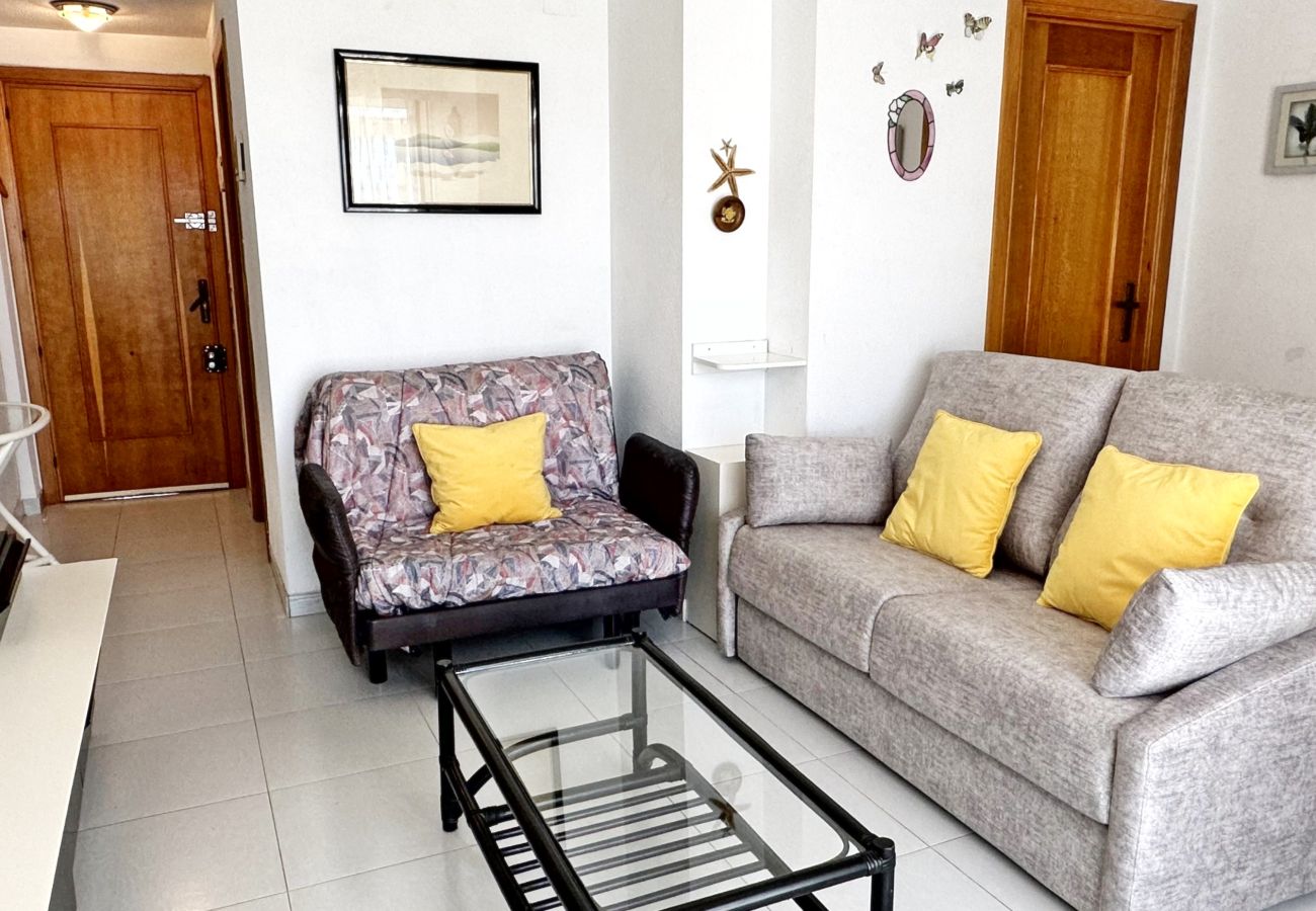 Apartamento en Gandia - REYNA 7º - 33   /     PLAYA DE GANDIA
