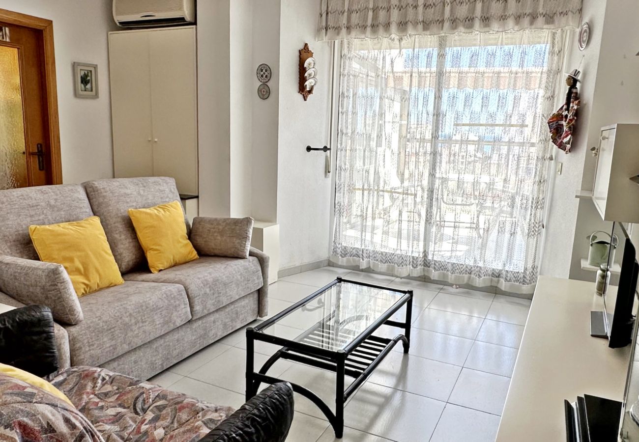 Apartamento en Gandia - REYNA 7º - 33   /     PLAYA DE GANDIA