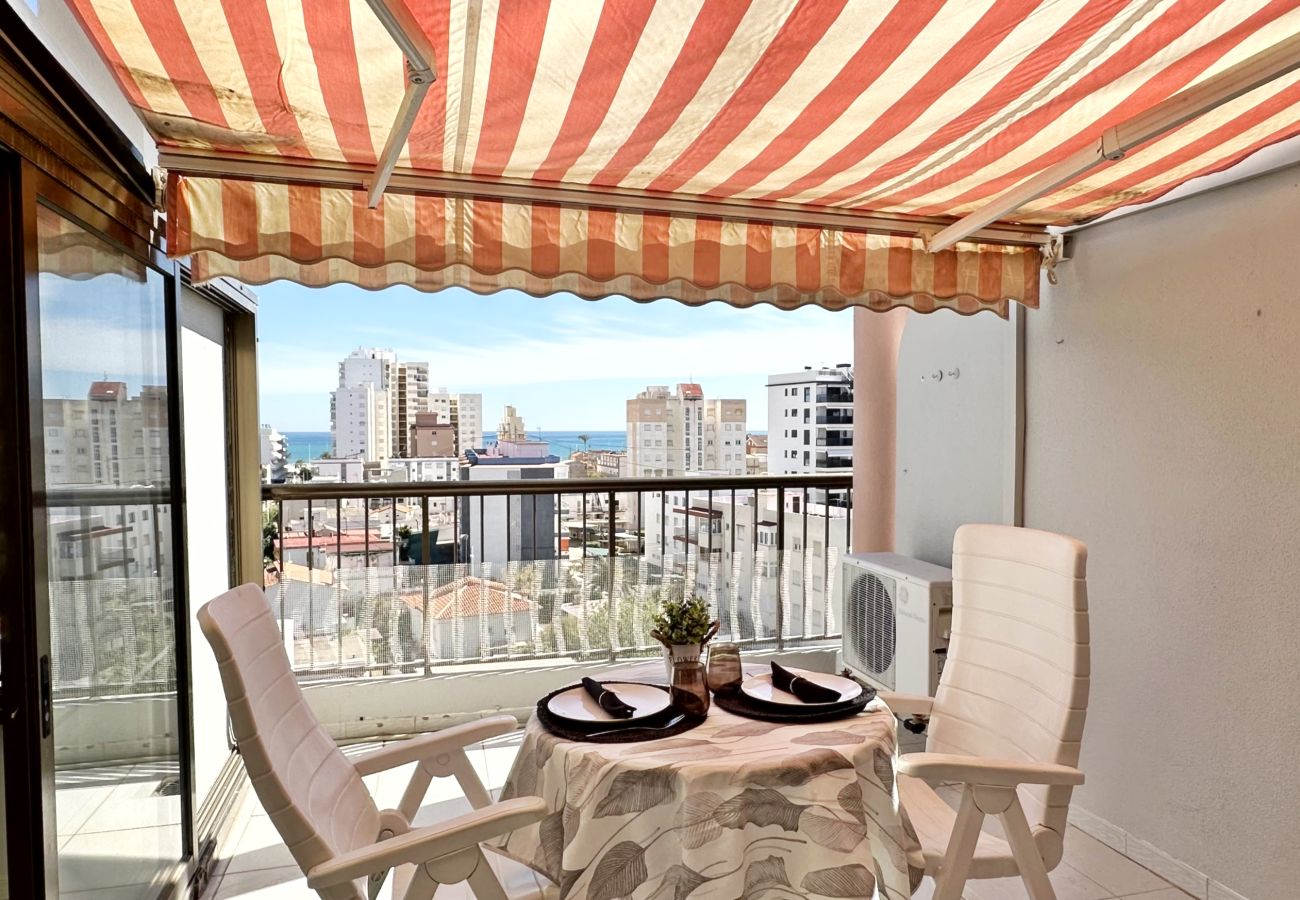 Apartamento en Gandia - REYNA 7º - 33   /     PLAYA DE GANDIA