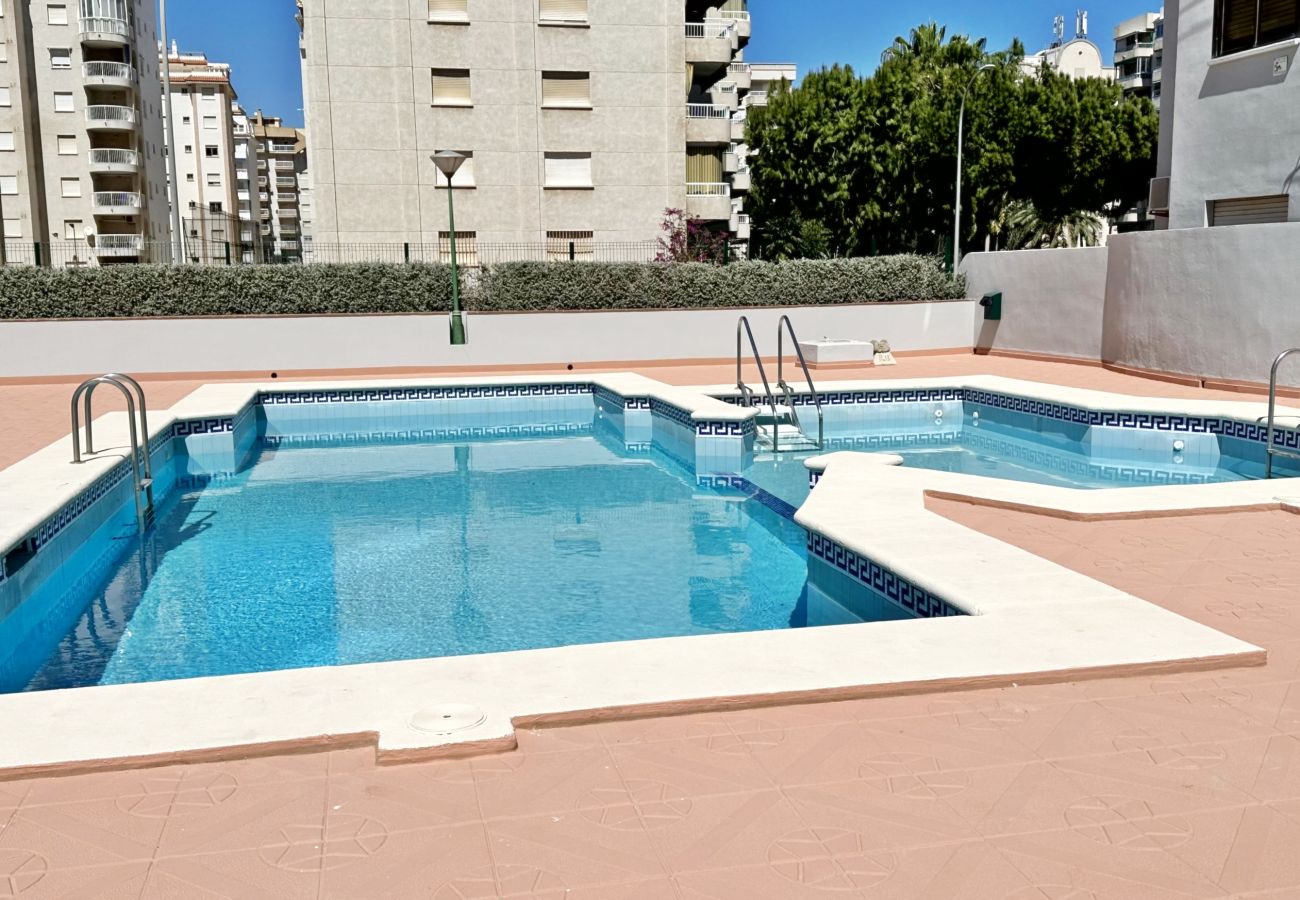 Apartamento en Gandia - REYNA 7º - 33   /     PLAYA DE GANDIA