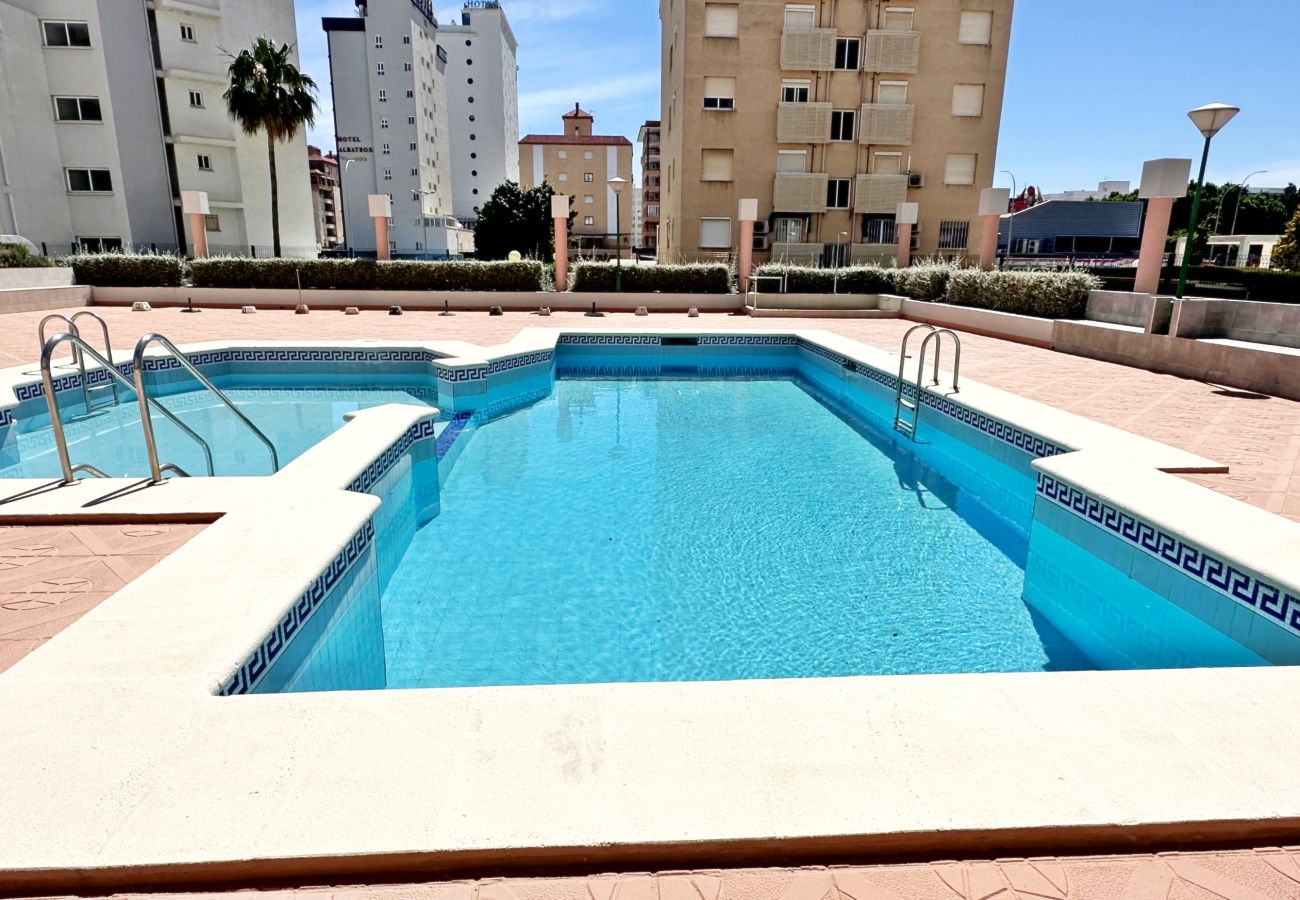 Apartamento en Gandia - REYNA 7º - 33   /     PLAYA DE GANDIA