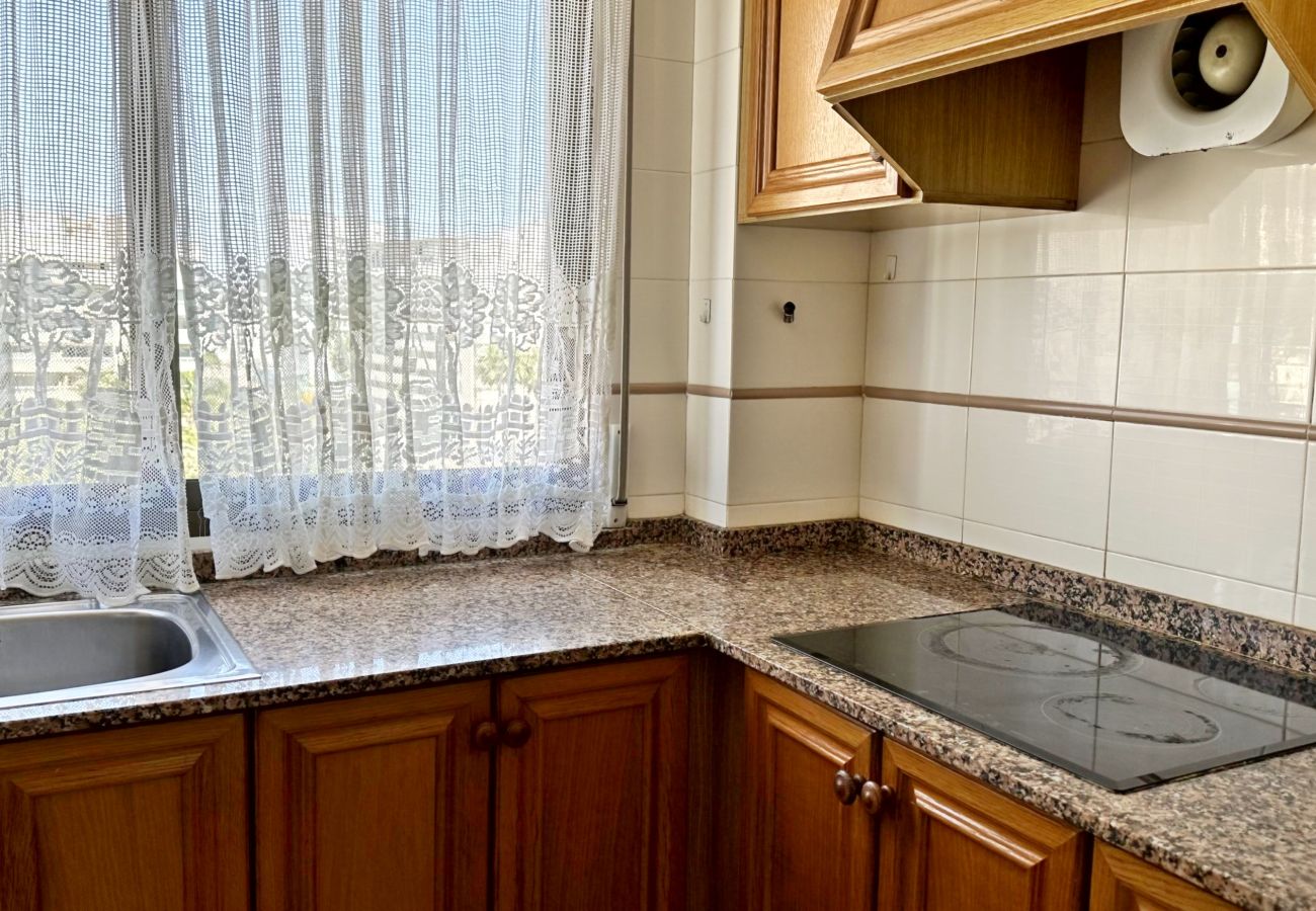 Apartamento en Gandia - REYNA 7º - 33   /     PLAYA DE GANDIA