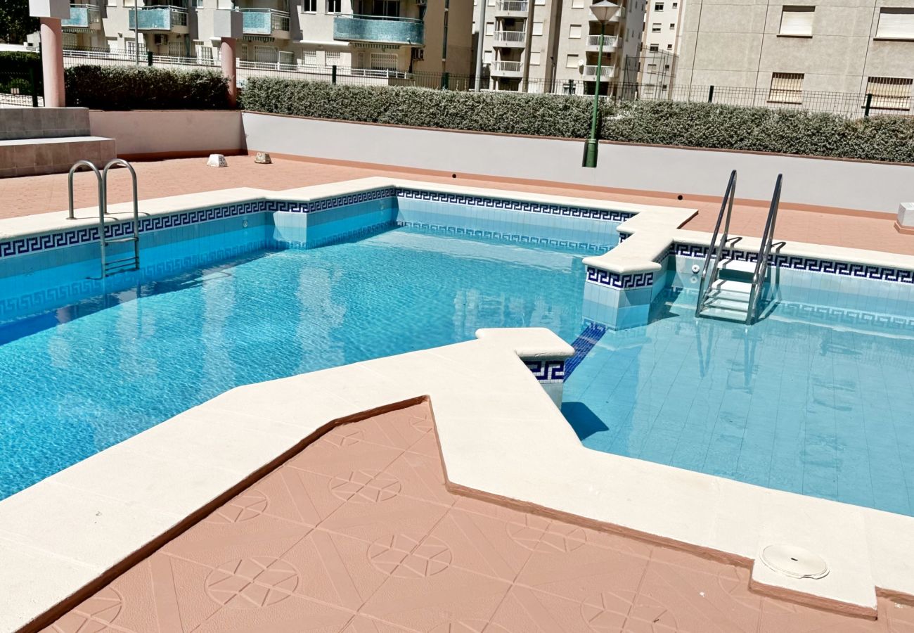 Apartamento en Gandia - REYNA 7º - 33   /     PLAYA DE GANDIA