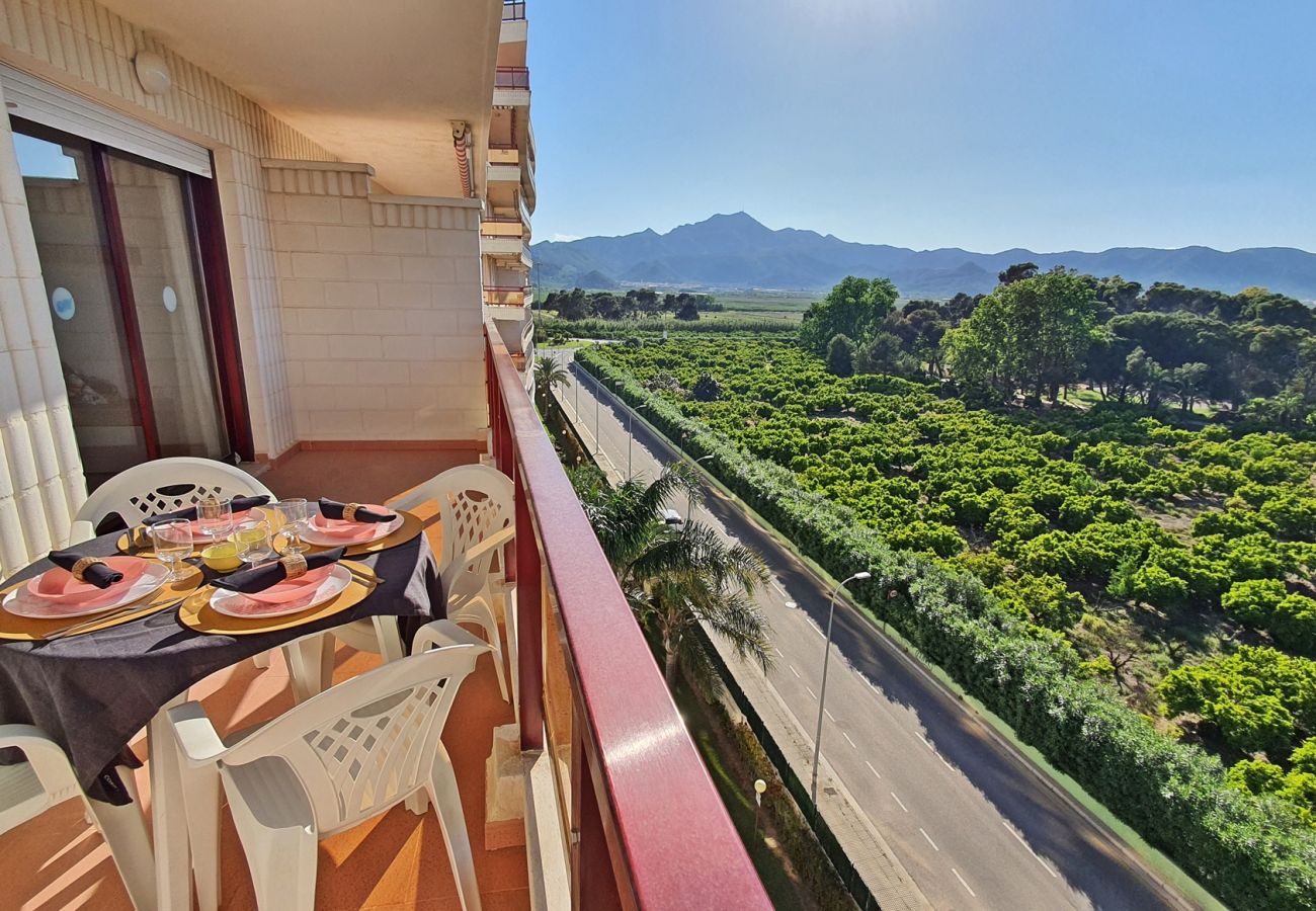 Apartamento en Gandia - RIOJA SALINAS IV - 1ª - 6º - 10ª    /   PLAYA DE GANDIA
