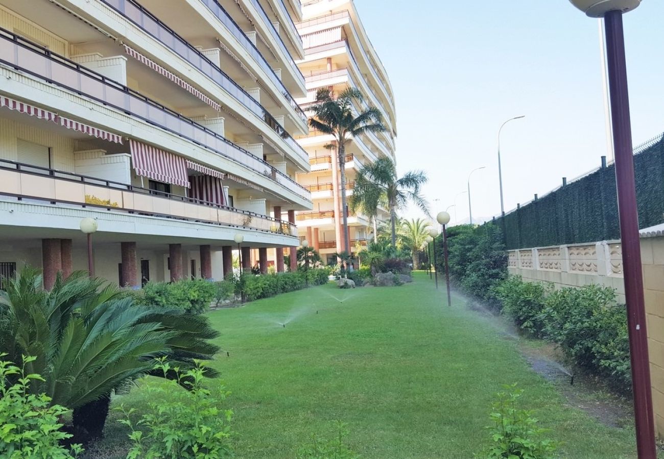Apartamento en Gandia - RIOJA SALINAS IV - 1ª - 6º - 10ª    /   PLAYA DE GANDIA