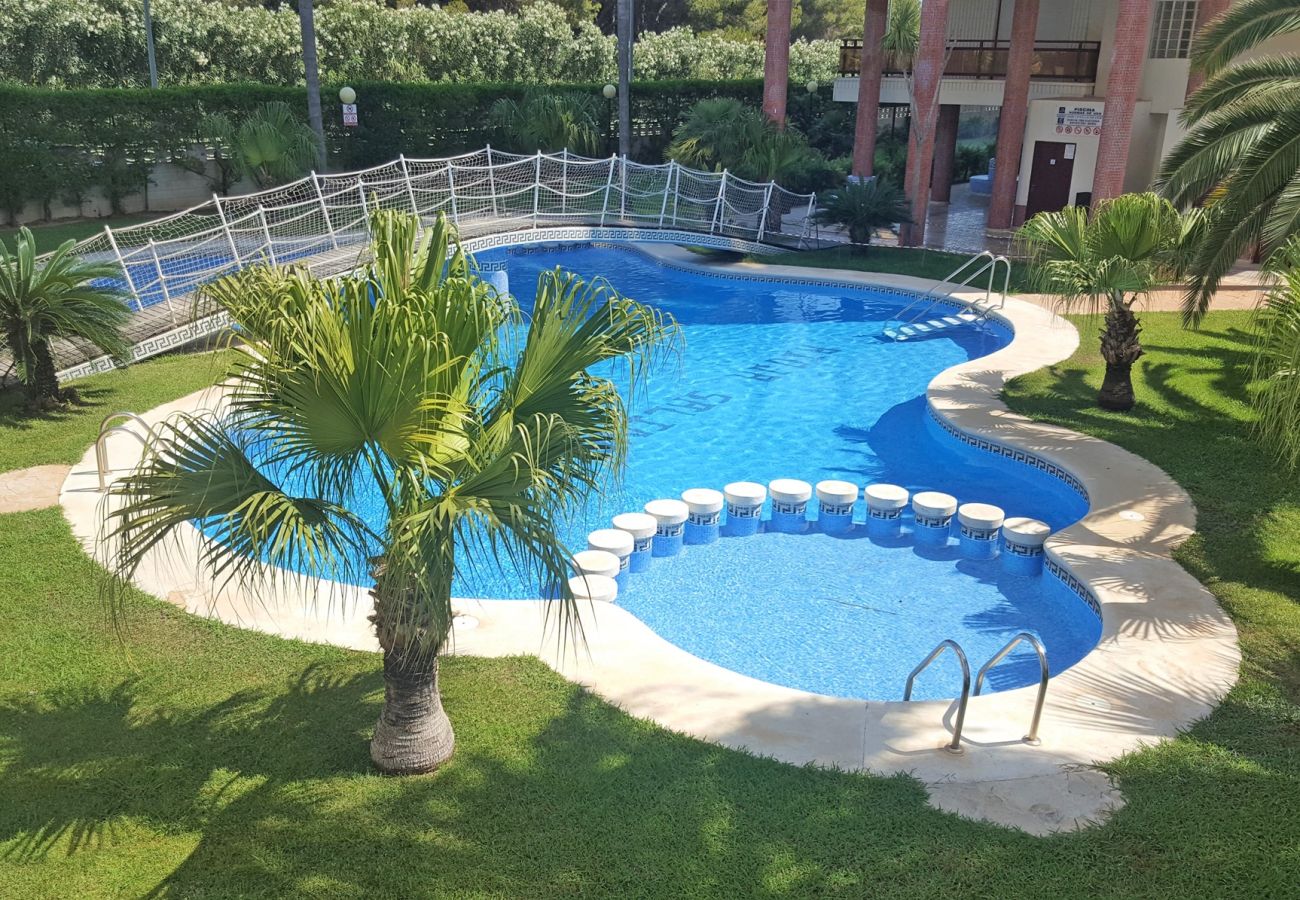 Apartamento en Gandia - RIOJA SALINAS IV - 1ª - 6º - 10ª    /   PLAYA DE GANDIA