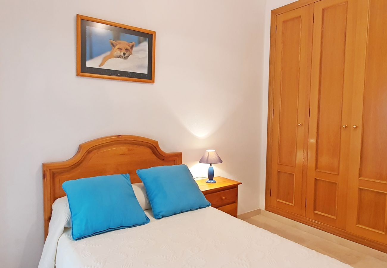Apartamento en Gandia - RIOJA SALINAS IV - 3ª - 4º - 8ª   /   PLAYA DE GANDIA