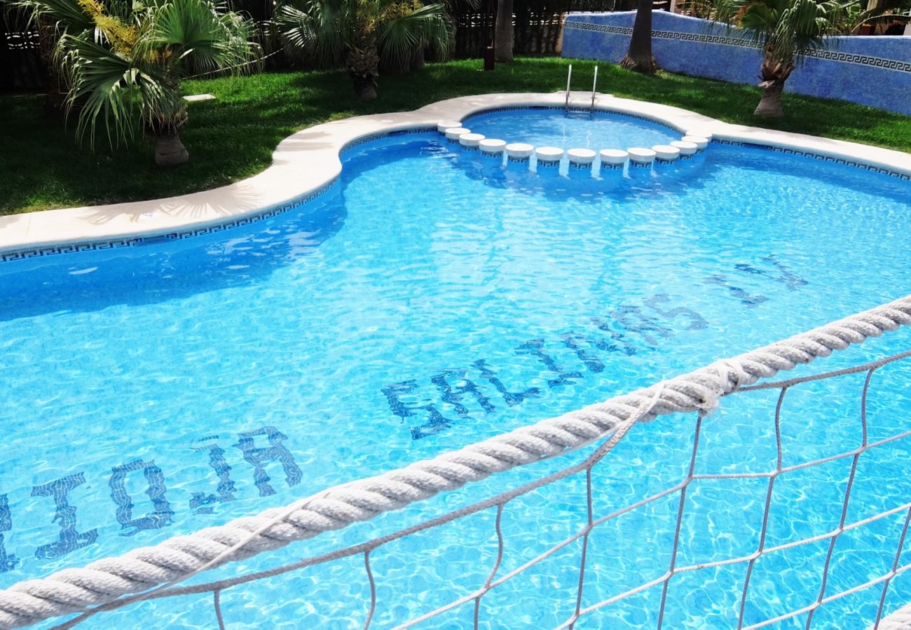 Apartamento en Gandia - RIOJA SALINAS IV - 3ª - 8º - 16   /    PLAYA DE GANDIA