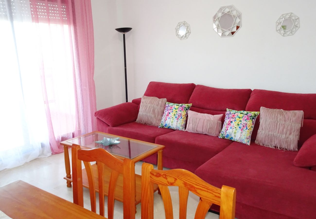 Apartamento en Gandia - RIOJA SALINAS IV - 3ª - 8º - 16   /    PLAYA DE GANDIA