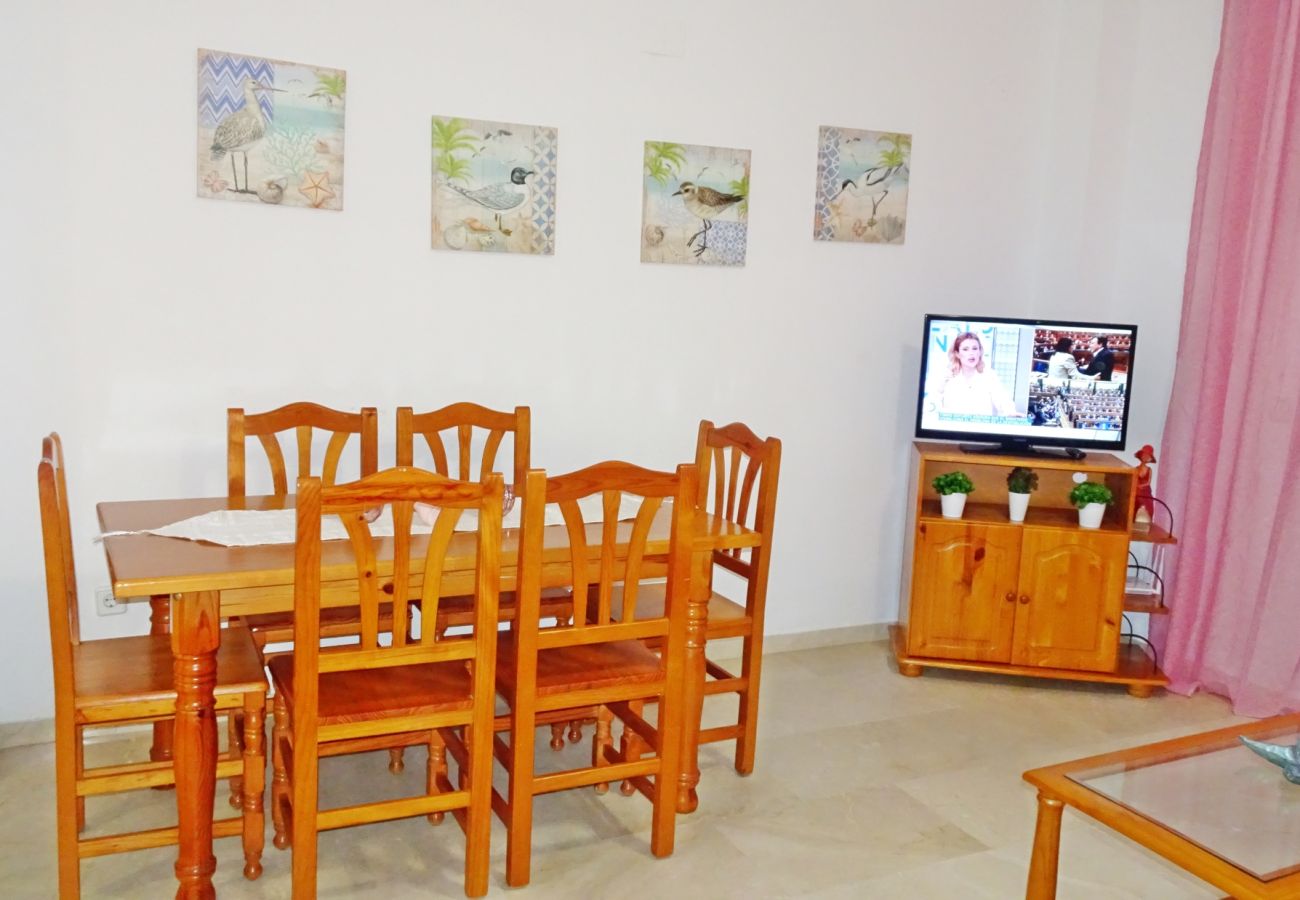 Apartamento en Gandia - RIOJA SALINAS IV - 3ª - 8º - 16   /    PLAYA DE GANDIA