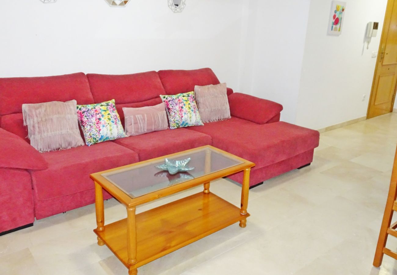 Apartamento en Gandia - RIOJA SALINAS IV - 3ª - 8º - 16   /    PLAYA DE GANDIA