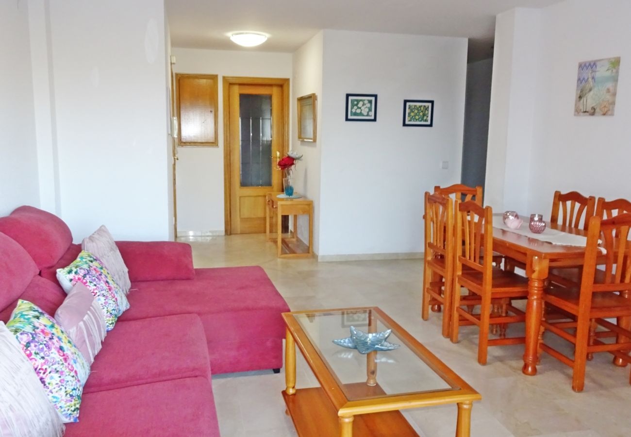 Apartamento en Gandia - RIOJA SALINAS IV - 3ª - 8º - 16   /    PLAYA DE GANDIA