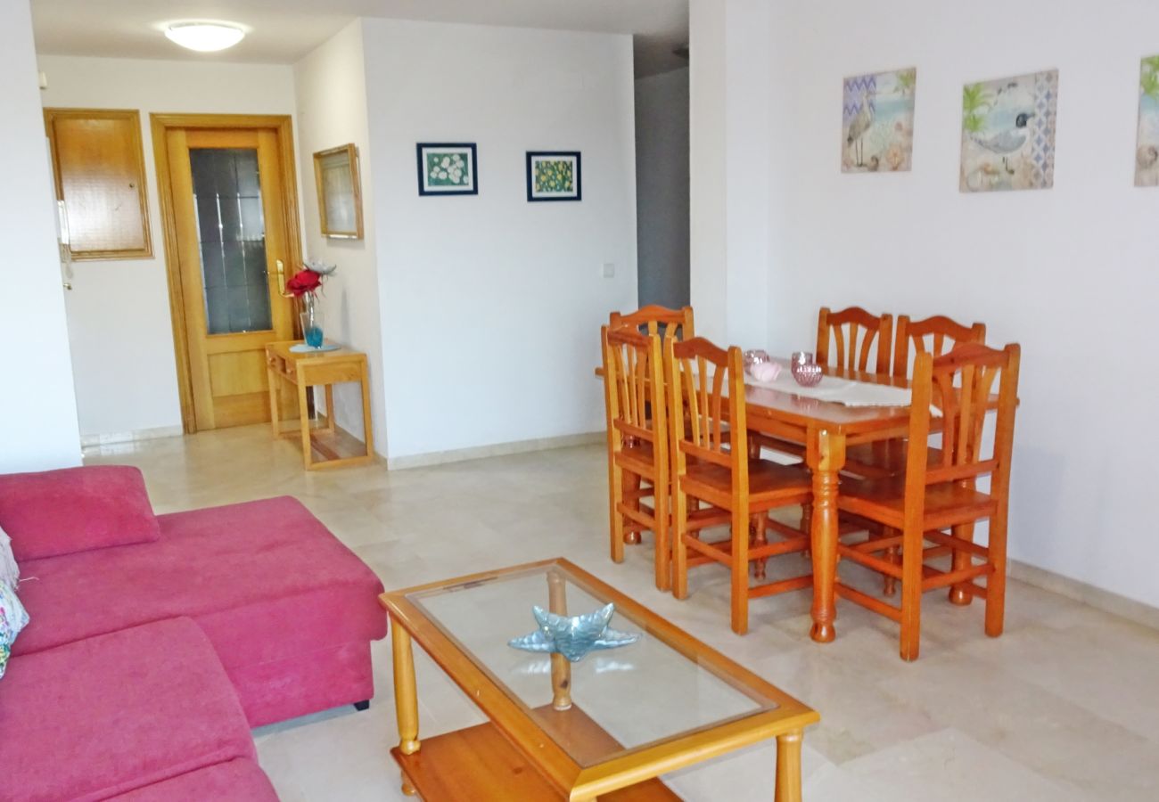 Apartamento en Gandia - RIOJA SALINAS IV - 3ª - 8º - 16   /    PLAYA DE GANDIA