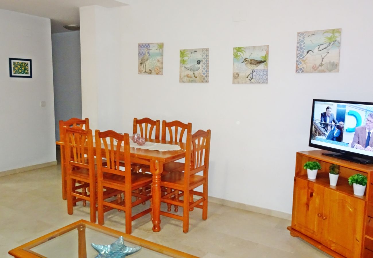 Apartamento en Gandia - RIOJA SALINAS IV - 3ª - 8º - 16   /    PLAYA DE GANDIA