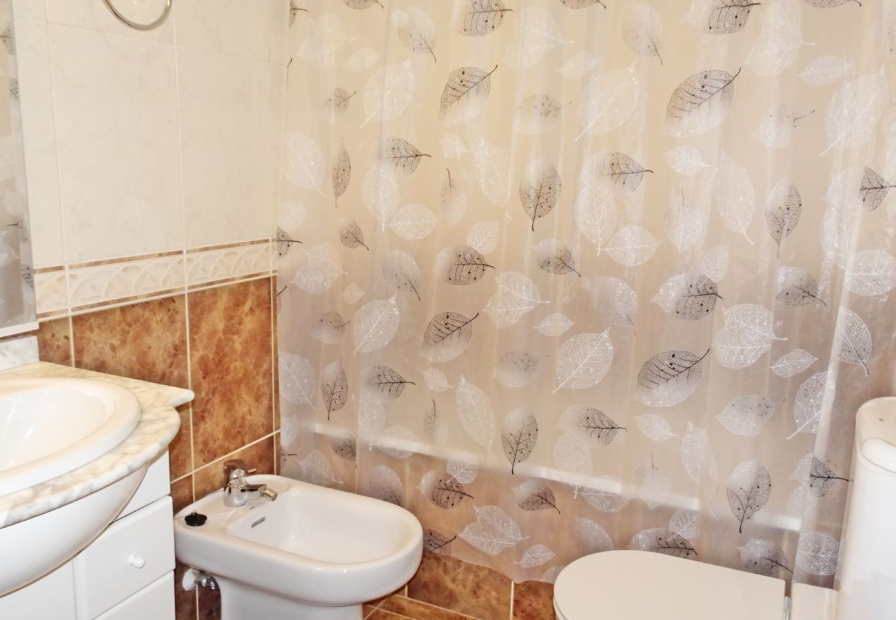 Apartamento en Gandia - RIOJA SALINAS IV - 3ª - 8º - 16   /    PLAYA DE GANDIA