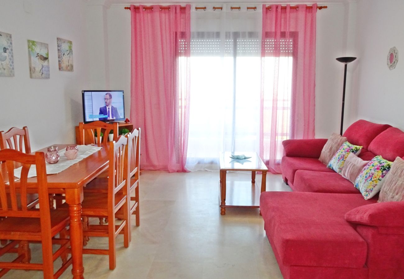 Apartamento en Gandia - RIOJA SALINAS IV - 3ª - 8º - 16   /    PLAYA DE GANDIA