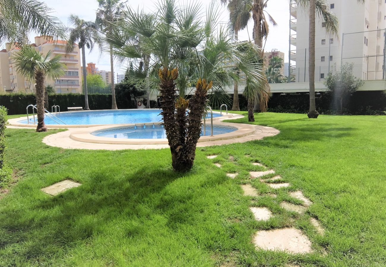 Apartamento en Gandia - RIOJA SALINAS III - 4ª - 5º - 10   /  PLAYA DE GANDIA