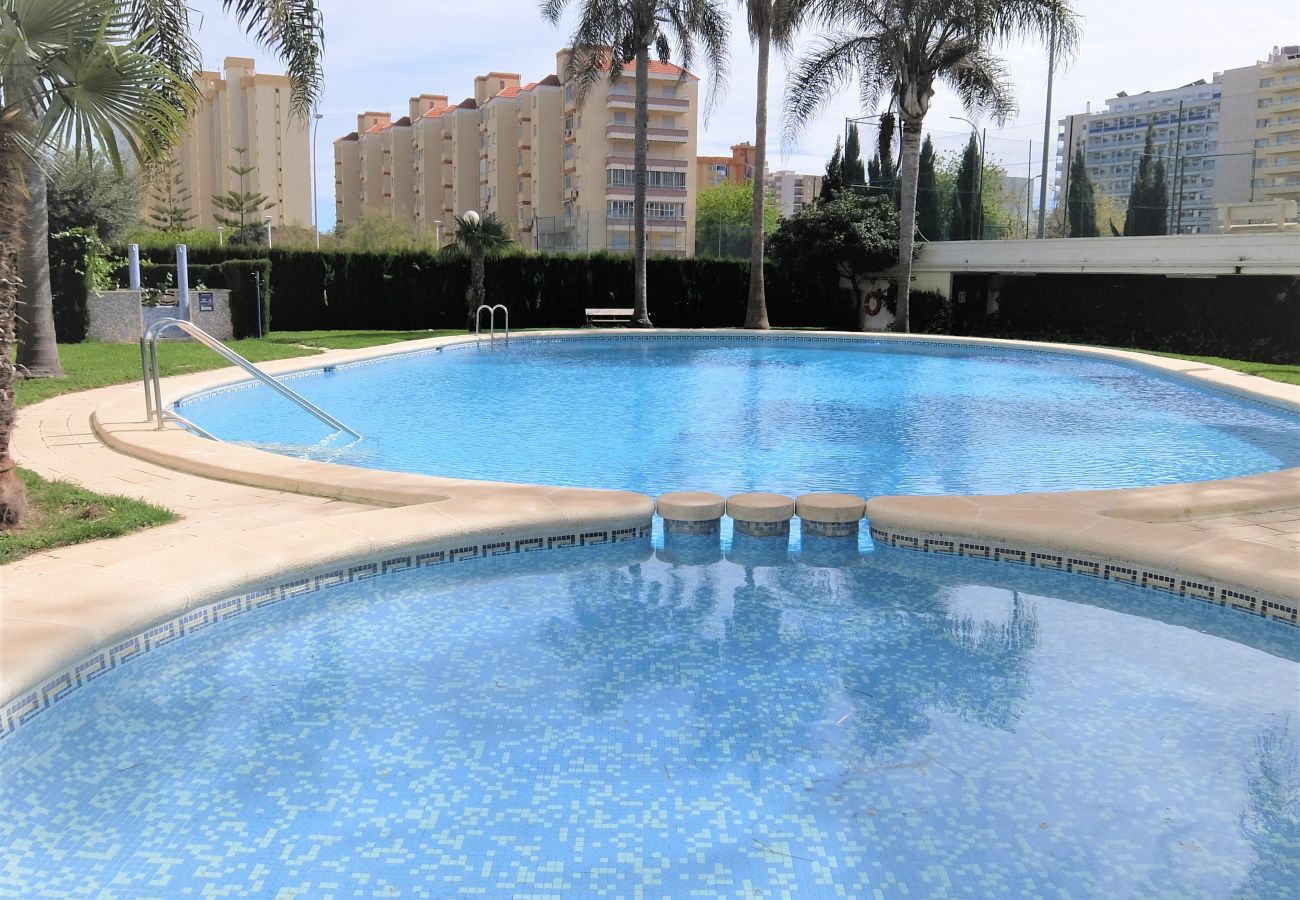 Apartamento en Gandia - RIOJA SALINAS III - 4ª - 5º - 10   /  PLAYA DE GANDIA