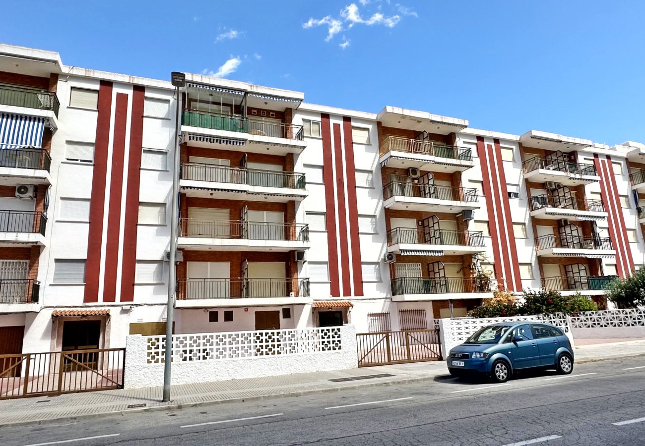 Apartamento en Gandia - ROMA V - 20 - 1º - 5ª   /    PLAYA DE GANDIA